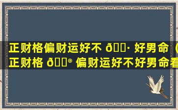 正财格偏财运好不 🌷 好男命（正财格 💮 偏财运好不好男命看婚姻）